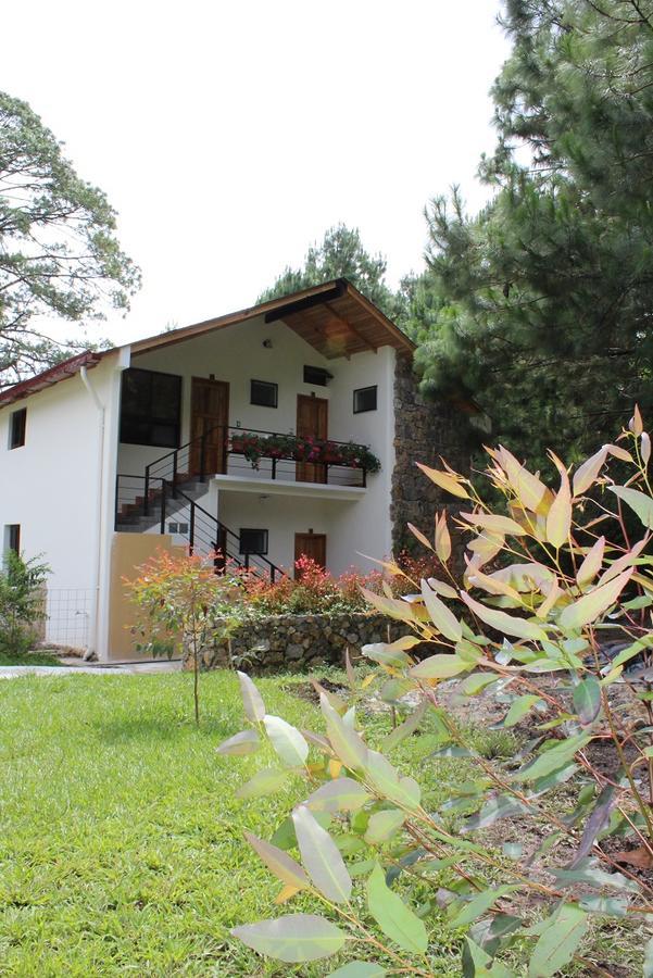 קובאן Hotel Casa Gaia מראה חיצוני תמונה
